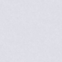 Обои AS Creation Accent Винил на флизелине (1,06*10,05) Серый, Штукатурка арт-38501-1 — фото 1, Обои для стен