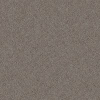 Обои Alessandro Allori Four Seasons Винил на флизелине (1,06*10) Коричневый, Штукатурка арт-1607-7 — фото 1, Обои для стен