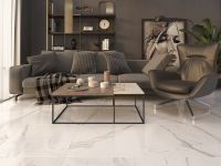 Керамогранит Gracia Ceramica Carrara Premium белый 01 60x60 см арт-010400000635 — фото 3, Керамогранит