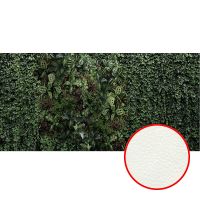 Фреска Ortograf Oasis 32747 Фактура флок FLK Флизелин (6*2,7) Черный/Зеленый, Листья арт-32747 (флок FLK) — фото 1, Фрески