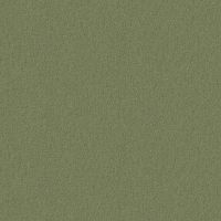 Обои Andrea Grifoni Palazzo Peterhof Флизелин (1,06*10,05) Зеленый, Однотонные арт-7008-8 — фото 1, Обои для стен