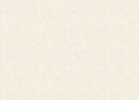 Обои Grandeco Universe 5 Винил на флизелине (1,06*10,05) Коричневый, Штукатурка арт-VR 1110 — фото 2, Обои для стен