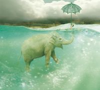 Фреска Ortograf Животные 10873 Фактура бархат FX Флизелин (3*2,7) Серый/Бирюзовый, Животные/Абстракция арт-10873 (бархат FX) — фото 2, Фрески