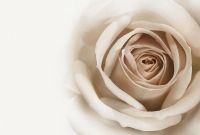 Фреска Ortograf Цветы 3189 Фактура флок FLK Флизелин (4*2,7) Белый/Бежевый, Цветы арт-3189 (флок FLK) — фото 2, Фрески