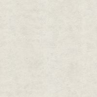 Обои Emiliana Parati Blumarine 5 Винил на флизелине (1,06*10,05) Бежевый, Штукатурка арт-29034BM — фото 1, Обои для стен