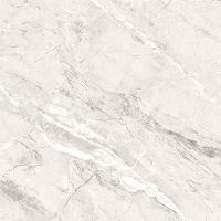 Керамогранит Primavera Пантир матовый 60х60 см арт-TP66M17 — фото 1, Керамогранит