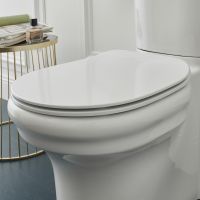 Товар: Унитаз компакт Jacob Delafon Cleo 1889 без бачка и сиденья арт-UJAC102-0 - фото 5 Унитаз компакт Jacob Delafon Cleo 1889 без бачка и сиденья арт-UJAC102-0 — фото 5, Напольные унитазы