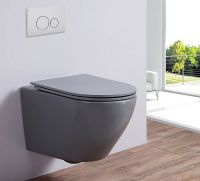 Унитаз Esbano Azalea подвесной Серый матовый с сиденьем Микролифт арт-ESUPAZALGM — фото 2, Подвесные унитазы