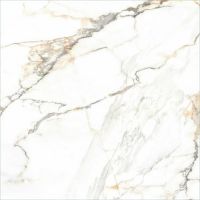 Керамогранит Alma Ceramica Trendy 60х60 см арт-GFU04TRD04R — фото 1, Керамогранит