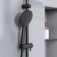 Душевая система Damixa Jupiter Черная матовая арт-977770300 — фото 4, Душевые стойки