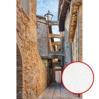 Фреска Ortograf Городской пейзаж 4622 Фактура бархат FX Флизелин (1,8*2,7) Бежевый, Город арт-4622 (бархат FX) — фото 1, Фрески