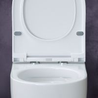 Унитаз Berges Ego Rimless подвесной с сиденьем Микролифт арт-082111 — фото 4, Подвесные унитазы