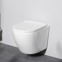 Унитаз AM.PM Like подвесной с сиденьем Микролифт арт-C801900SC — фото 1, Подвесные унитазы