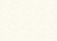 Обои Zambaiti Parati Savana Винил на флизелине (0,53*10,05) Белый, Штукатурка арт-77535 — фото 2, Обои для стен