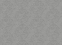 Обои Zambaiti Parati Vision Винил на флизелине (0,70*10,05) Серый, Штукатурка арт-76049 — фото 2, Обои для стен