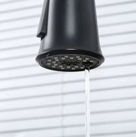 Смеситель для кухни Gappo Черный матовый арт-G4398-66 — фото 12, Смесители для кухни