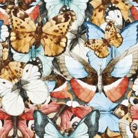 Фреска Ortograf Животные 5908 Фактура бархат FX Флизелин (2,7*2,7) Разноцветный, Бабочки арт-5908 (бархат FX) — фото 2, Фрески