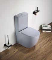 Унитаз компакт CeramaLux Голубой матовый с бачком и сиденьем Микролифт арт-2166XMHL — фото 2, Напольные унитазы