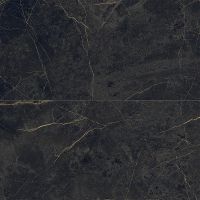 Керамогранит Ariana Epoque Black Ret 60x120 см арт-PF60004295 — фото 2, Керамогранит