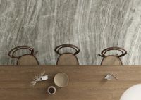 Керамогранит Ariostea Ultra Marmi Daino Grigio Levigato Silk 75х150 см арт-UM6SK157640 — фото 4, Керамогранит