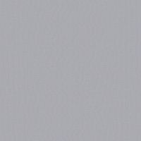 Обои LOYMINA Shade 2 Винил на флизелине (1*10,05) Серый, Однотонные арт-SDR1 008 — фото 1, Обои для стен