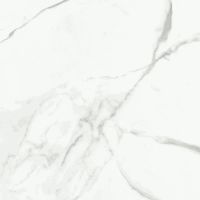 Керамогранит Primavera Dalim white 60х60 см арт-NR104 — фото 1, Керамогранит