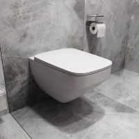 Комплект унитаза с инсталляцией AM.PM Inspire 2.0 с сиденьем Микролифт с клавишей смыва Хром с гигиеническим душем и аксессуарами для ванной комнаты арт-CK50GD — фото 6, Комплекты унитаз + инсталляция