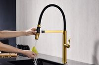 Смеситель для кухни Paulmark Leader Брашированное золото арт-Le214101-BG — фото 5, Смесители для кухни