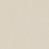 Обои LOYMINA A La Prima Флизелин (1*10,05) Белый/Бежевый, Штукатурка арт-Pm10 002/4 — фото 1, Обои для стен