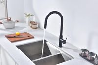 Товар: Смеситель для кухни Paulmark Galant Антрацит арт-Ga213077-AN - фото 11 Смеситель для кухни Paulmark Galant Антрацит арт-Ga213077-AN — фото 11, Смесители для кухни