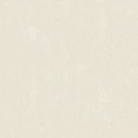 Обои Bruno Zoff Silver Фольга на флизелине (1,06*10,05) Белый, Штукатурка арт-60111-1 — фото 1, Обои для стен