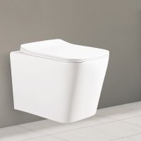 Унитаз Ceruttispa Maiella Aria PP подвесной с сиденьем Микролифт арт-CT10479 — фото 2, Подвесные унитазы