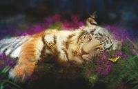 Фреска Ortograf Животные 7002 Фактура флок FLK Флизелин (4,2*2,7) Разноцветный, Животные/Бабочки арт-7002 (флок FLK) — фото 2, Фрески