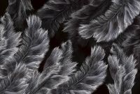 Фреска Ortograf Levity 33369 Фактура бархат FX Флизелин (4*2,7) Черный/Серый, Перья арт-33369 (бархат FX) — фото 2, Фрески