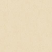 Обои Roberto Borzagi Queen I Винил на флизелине (1,06*10,05) Бежевый, Штукатурка арт-90109-3 — фото 1, Обои для стен