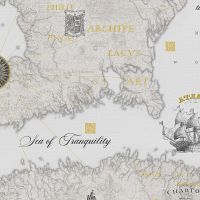 Обои Solo Geo Винил на флизелине (1,06*10) Серый, Карты арт-SL8838-23 — фото 1, Обои для стен