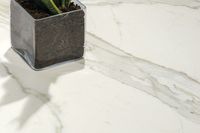 Керамогранит Ariostea Marmi Classici Bianco Calacatta luc rett 60x120 см арт-PL612527 — фото 2, Керамогранит