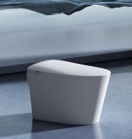 Товар: Унитаз биде SantiLine приставной с сиденьем Микролифт арт-SL-5036 - фото 3 Унитаз биде SantiLine приставной с сиденьем Микролифт арт-SL-5036 — фото 3, Умные унитазы