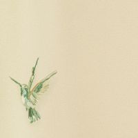 Обои Andrea Rossi Spectrum + Винил на флизелине (1,06*10) Зеленый, Птицы арт-54356-4 — фото 1, Обои для стен