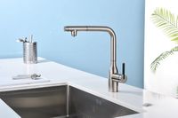 Смеситель для кухни Paulmark Viper Никель арт-Vi213105-NI — фото 5, Смесители для кухни