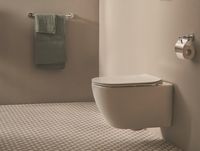 Комплект унитаза с инсталляцией Ideal Standard Tesi Rimless с сиденьем Микролифт и клавишей смыва Хром арт-TT00003/121AA — фото 13, Комплекты унитаз + инсталляция