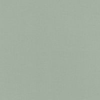 Обои RASCH Garden Винил на флизелине (0,53*10,05) Зеленый, Однотонные/Рогожка арт-690743 — фото 1, Обои для стен
