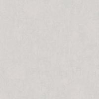 Обои LOYMINA Golden Library Винил на флизелине (1*10,05) Серый, Штукатурка арт-LDG7 001 — фото 1, Обои для стен