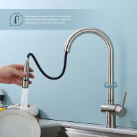 Смеситель для кухни Splenka Сатин арт-S204.49.05 — фото 2, Смесители для кухни