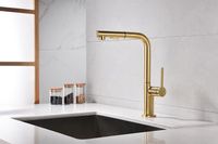 Смеситель для кухни Paulmark Neo Брашированное золото арт-Ne214419-BG — фото 5, Смесители для кухни