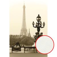 Фреска Ortograf Париж 3244 Фактура флок FLK Флизелин (1,8*2,7) Серый/Бежевый, Город арт-3244 (флок FLK) — фото 1, Фрески