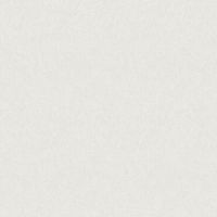 Обои Bruno Zoff Silver Фольга на флизелине (1,06*10,05) Бежевый, Однотонные арт-60118-1 — фото 2, Обои для стен