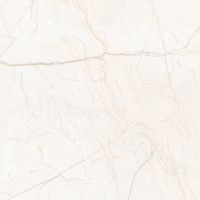 Керамогранит Гранитея 60х60 Iset Elegant MR 60х60 см арт-G231 — фото 1, Керамогранит