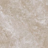 Керамогранит Primavera Балиал матовый 60х60 см арт-TP66M19 — фото 1, Керамогранит