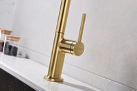 Смеситель для кухни Paulmark Neo Брашированное золото арт-Ne214419-BG — фото 11, Смесители для кухни